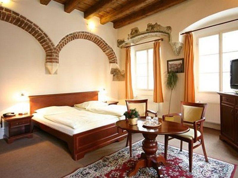 Hotel U Tri Bubnu Prague